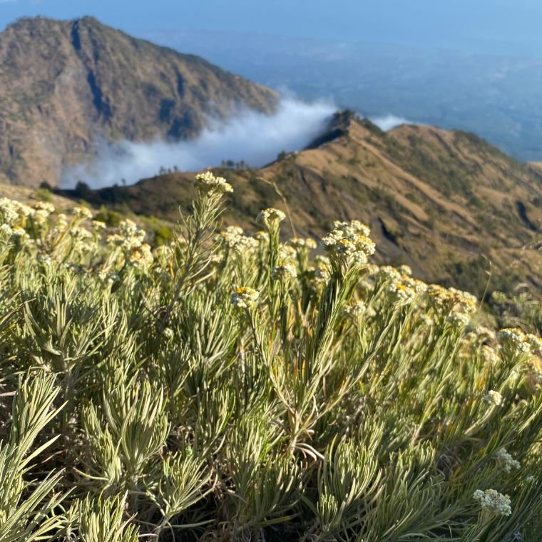 ⁠Rinjani Trekking Via Senaru Summit-Sembalun - 3 Days 2 Nights
